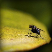 /album/sugticasti/photolia-a07-jpg/